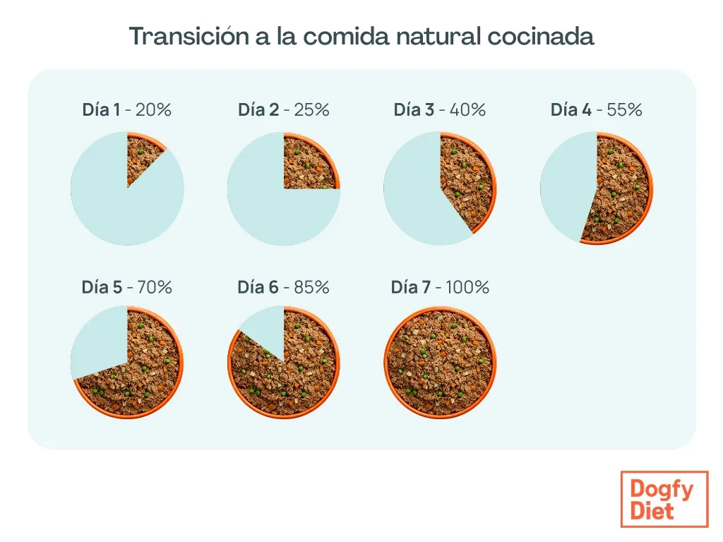 Cómo hacer la transición a comida natural cocinada con el chihuahua 