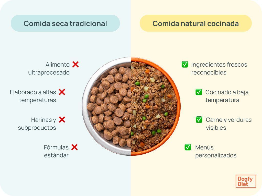 comparativa entre comida seca tradicional y comida natural cocinada
