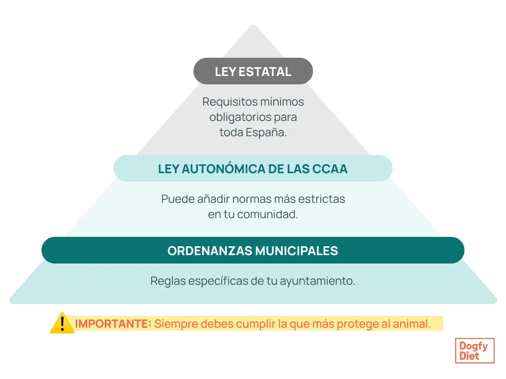 Jerarquía que debes seguir para cumplir la ley de protección animal