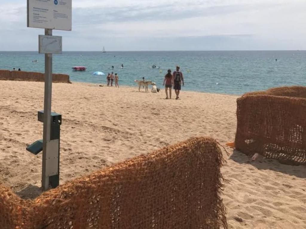 Playa Patins de Vela en Badalona