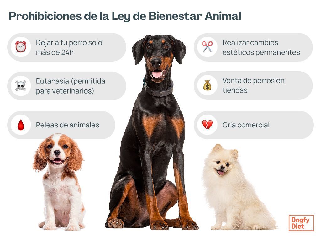 Principales prohibiciones de la Ley de Bienestar Animal