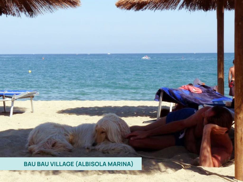 cane sotto l'ombrellone al Bau Bau Village ad Albisola Marina