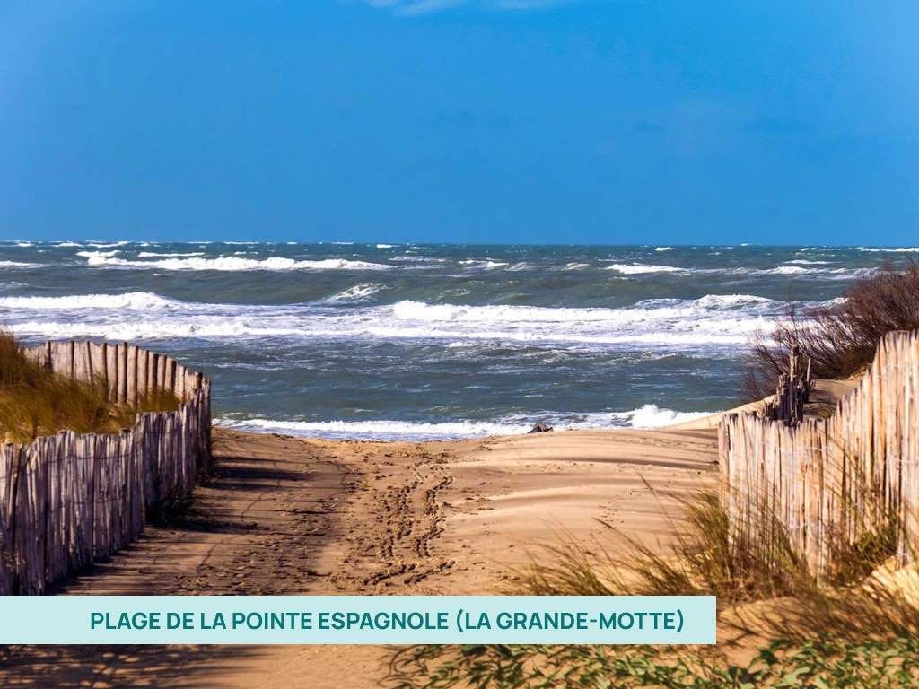 Plage de la Pointe Espagnole pour chiens