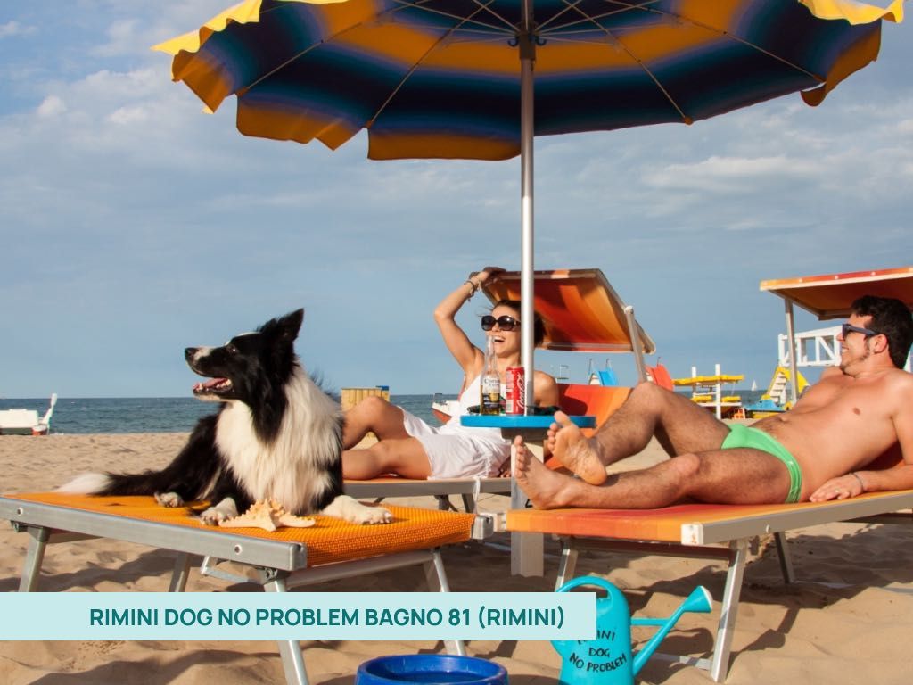 Rimini Dog No Problem Bagno 81: coppia che prende il sole insieme al proprio cane sui lettini.