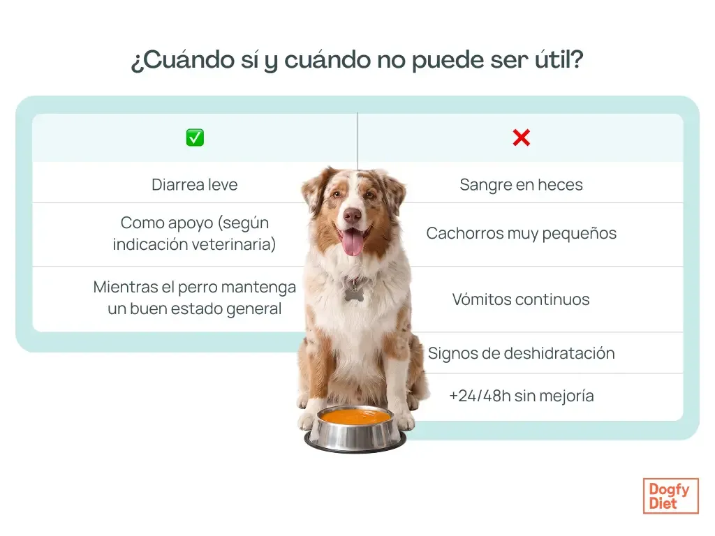 Ingredientes y pasos a seguir de la sopa de Moro