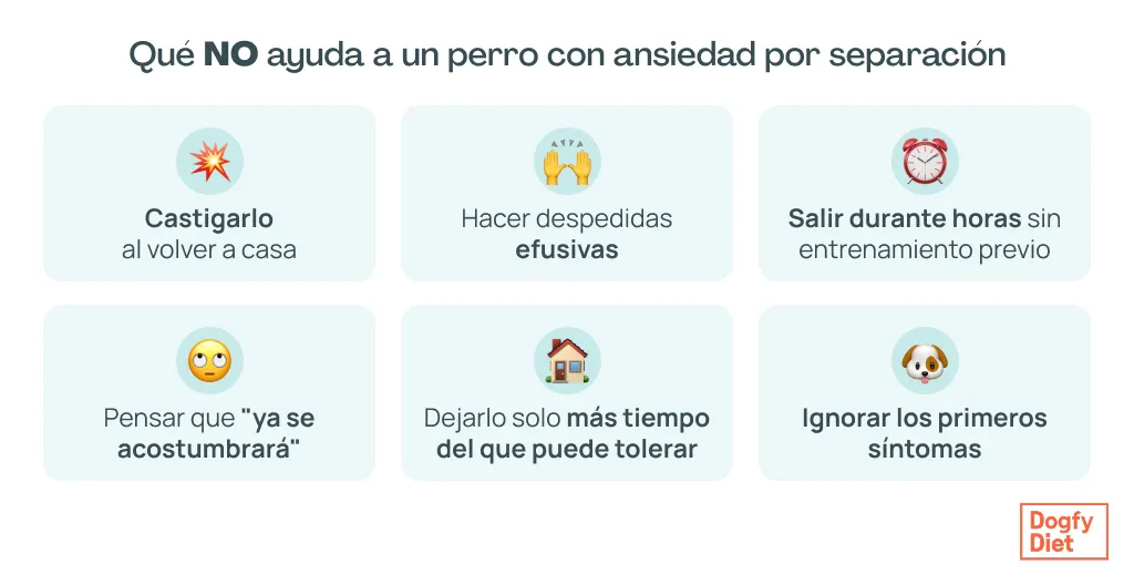 Errores comunes que cometemos con un perro que sufre ansiedad por separación
