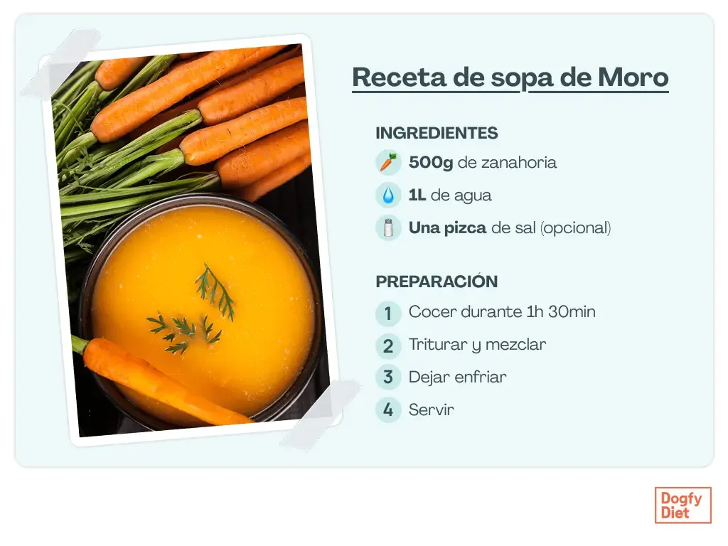 Ingredientes y pasos a seguir para hacer sopa de Moro