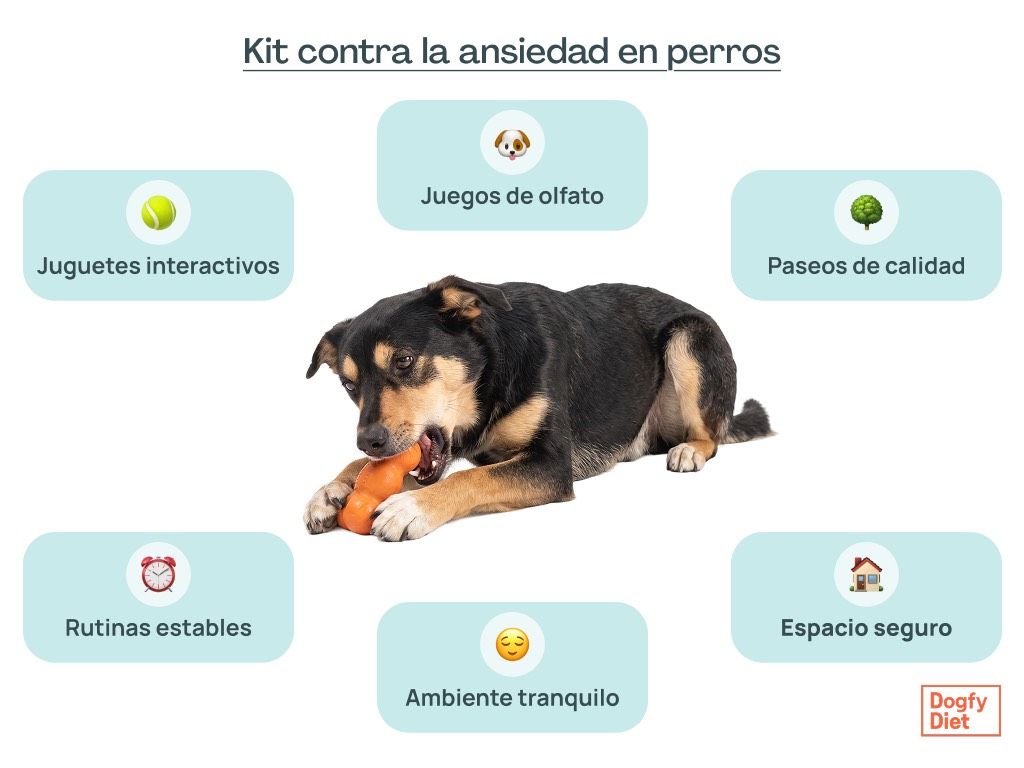 Técnicas para ayudar a un perro con ansiedad