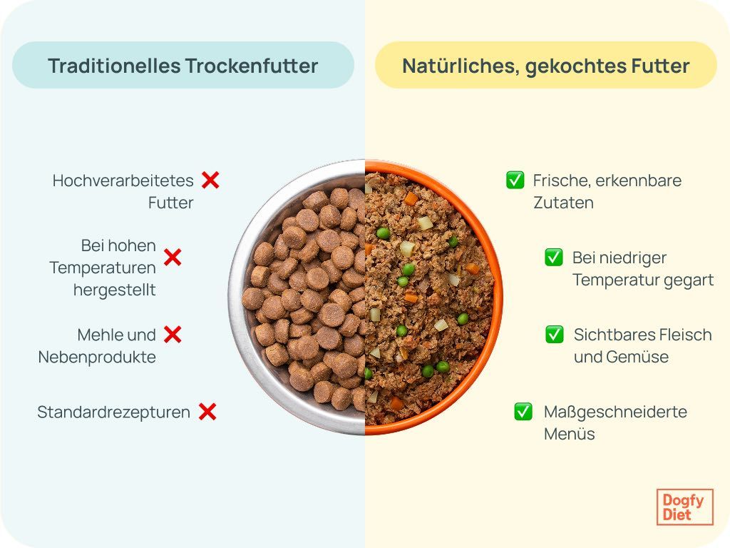 Vergleich zwischen traditionellem Trockenfutter und natürlichem, gekochtem Futter