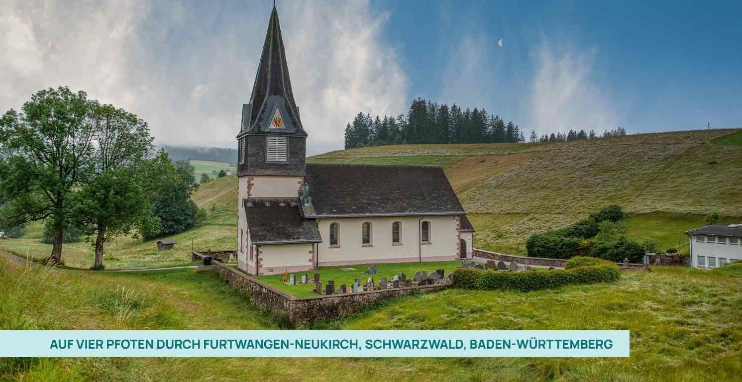 Auf vier Pfoten durch Furtwangen-Neukirch