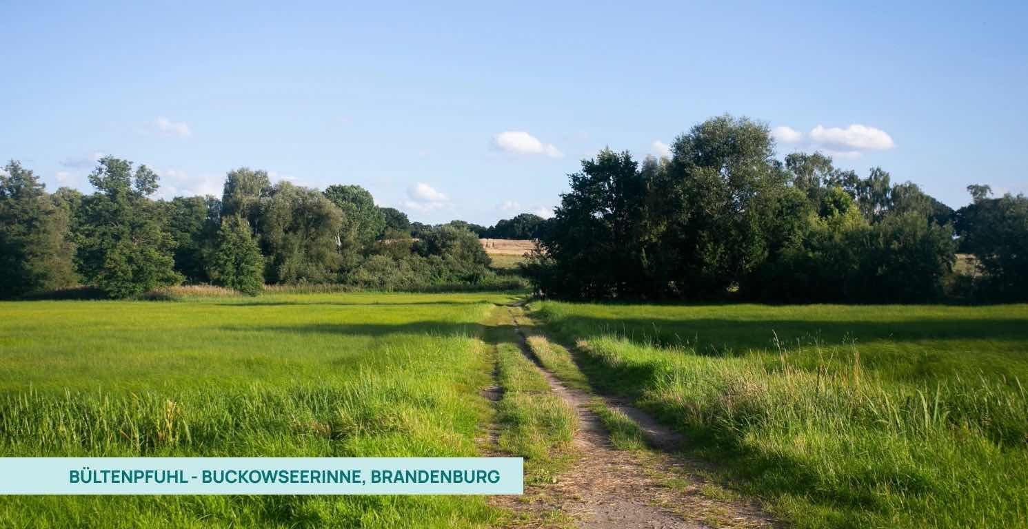 Bültenpfuhl – Buckowseerinne
