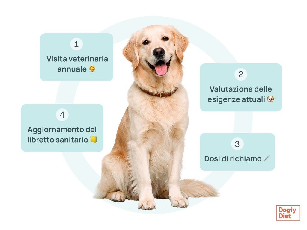 Calendario vaccinazione per cani adulti