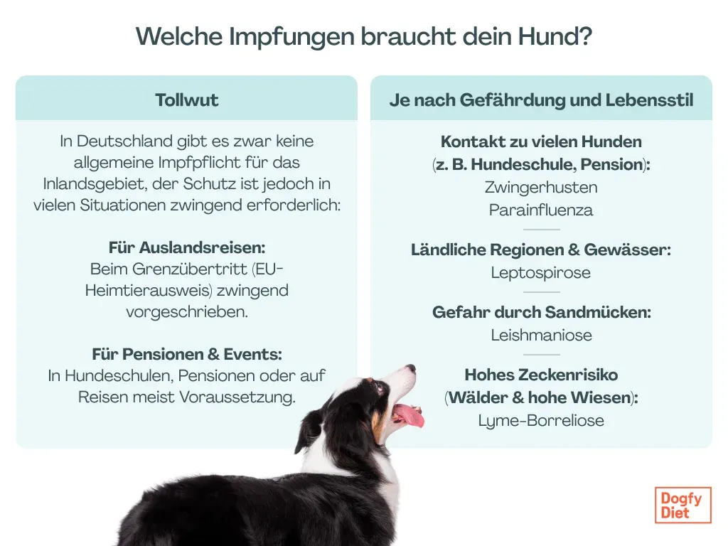 Obligatorische & empfohlene Impfungen
