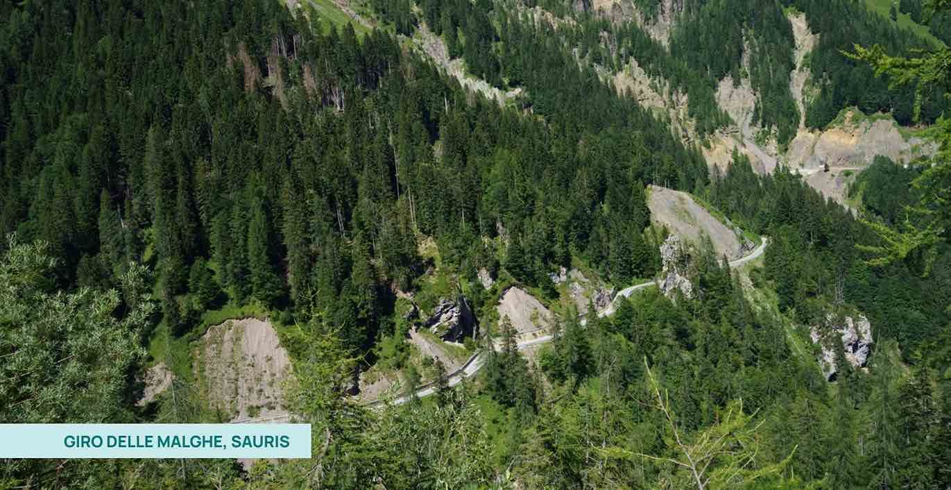 Trekking tra le malghe e gli alpeggi di Sauris, Friuli Venezia Giulia