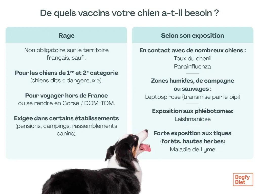 Vaccins obligatoires et recommandés