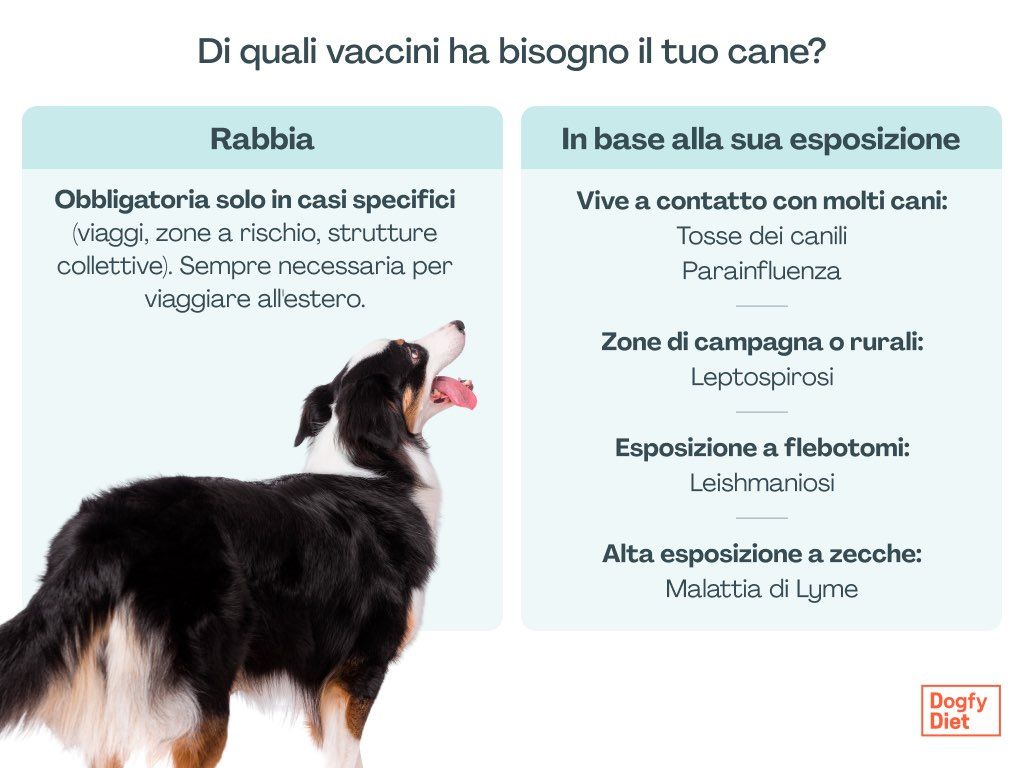 Vaccini obbligatori e raccomandati