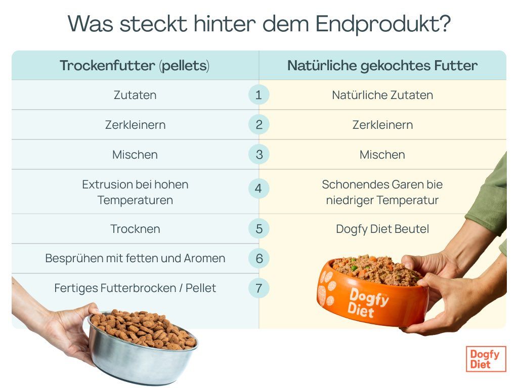 Trockenfutter vs natürliches Dogfy-Futter